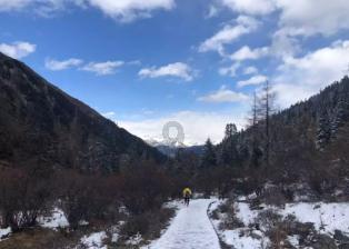燃烧吧大脑免广告最新版