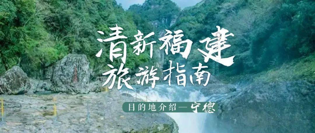 蓝狐视频